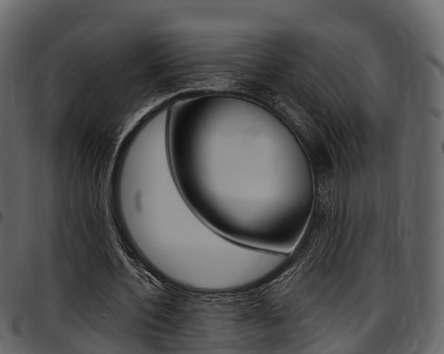 X0000097610532200802290758