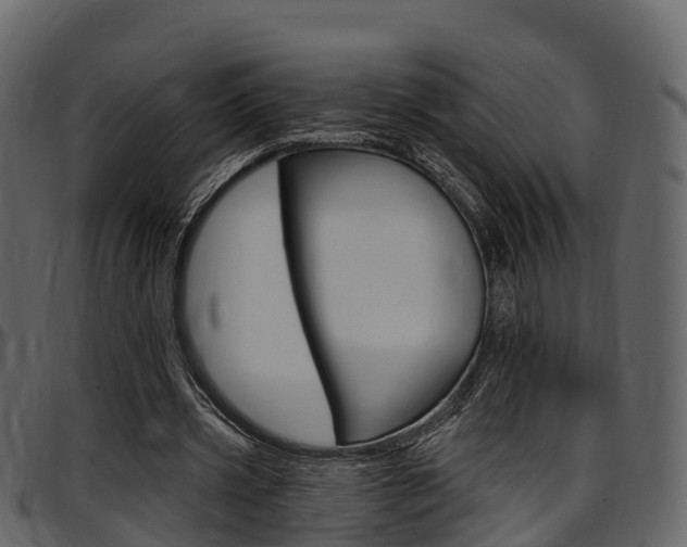 X0000097610533200802290758