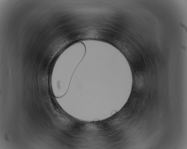 X0000097610534200802290758