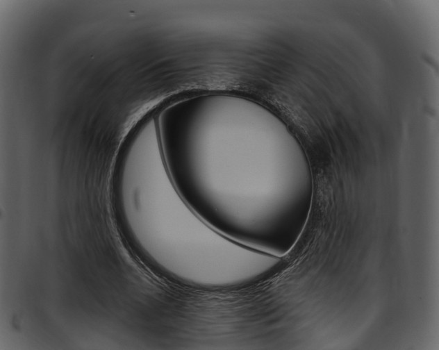 X0000097610536200802290758