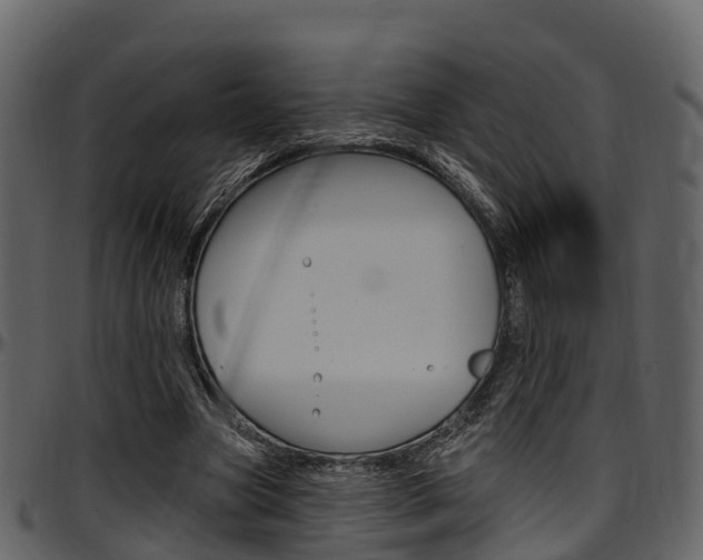 X0000097610537200802290758