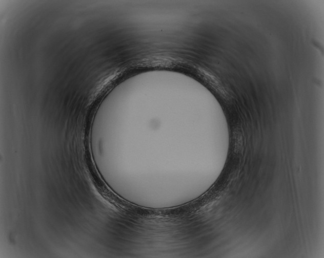 X0000097610538200802290758