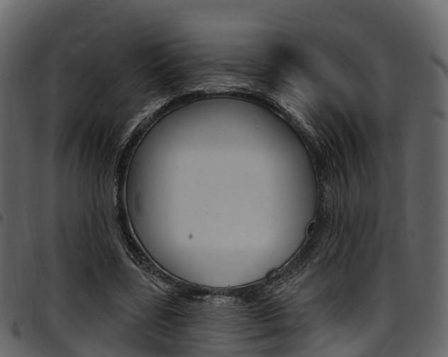 X0000097610539200802290758