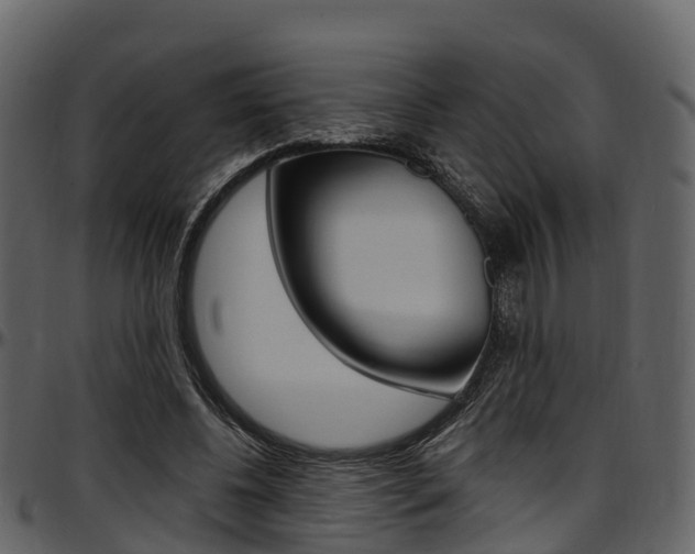 X0000097610540200802290758