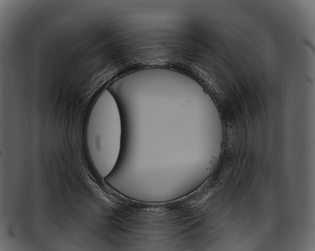 X0000097610541200802290758