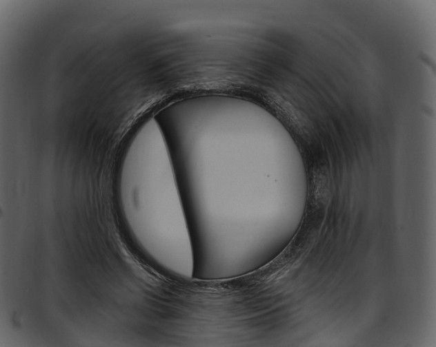 X0000097610542200802290758