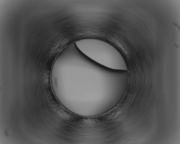 X0000097610545200802290758