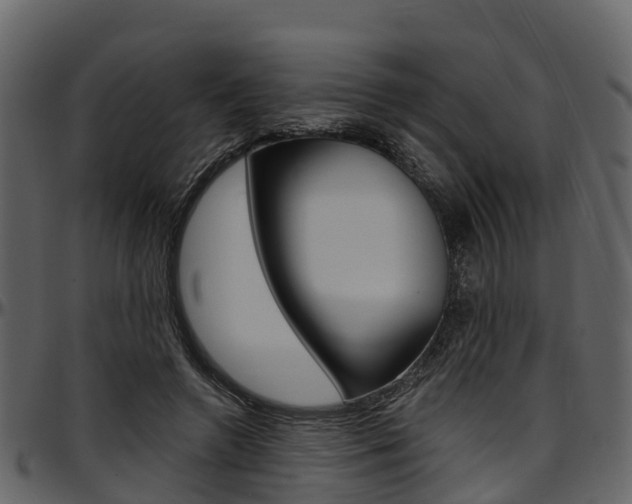 X0000097610546200802290758