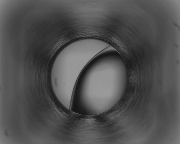 X0000097610548200802290758