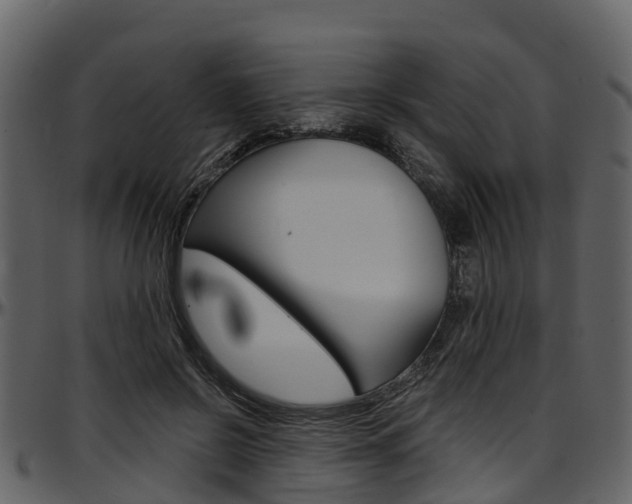 X0000097610550200802290758