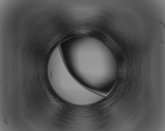 X0000097610552200802290758