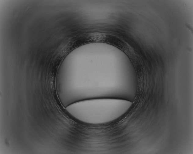 X0000097610553200802290759