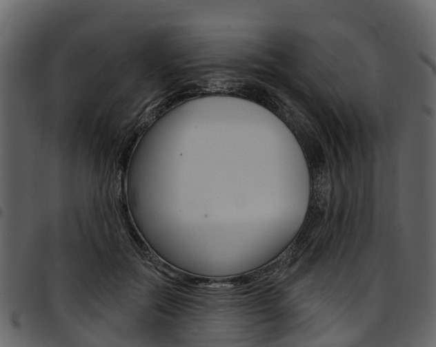 X0000097610554200802290759
