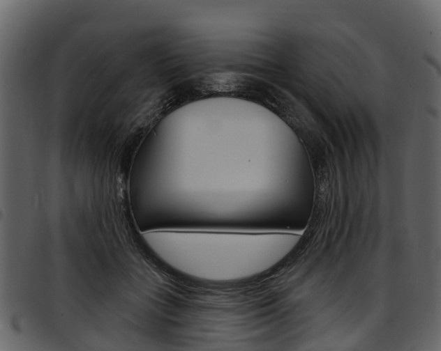 X0000097610555200802290759