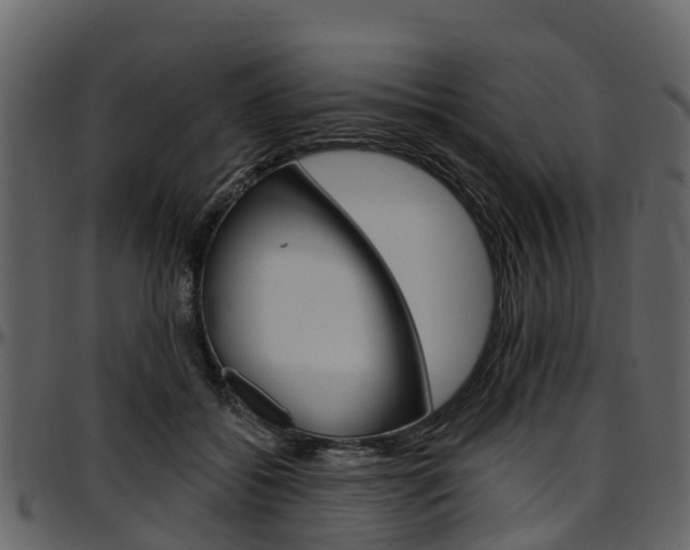 X0000097610556200802290759