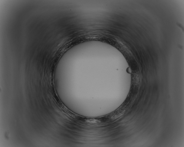 X0000097610557200802290759