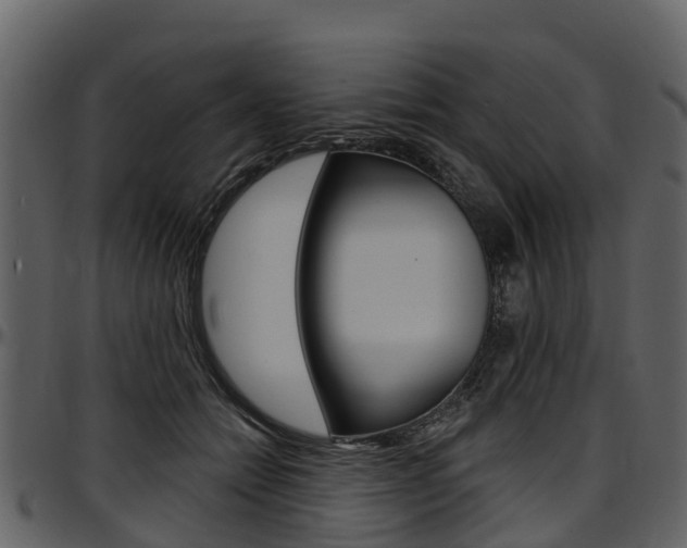 X0000097610558200802290759