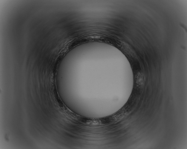 X0000097610559200802290759