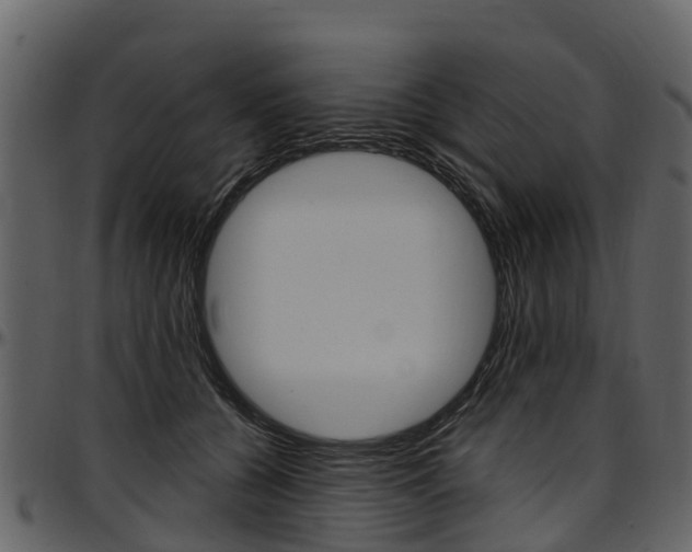 X0000097610560200802290759
