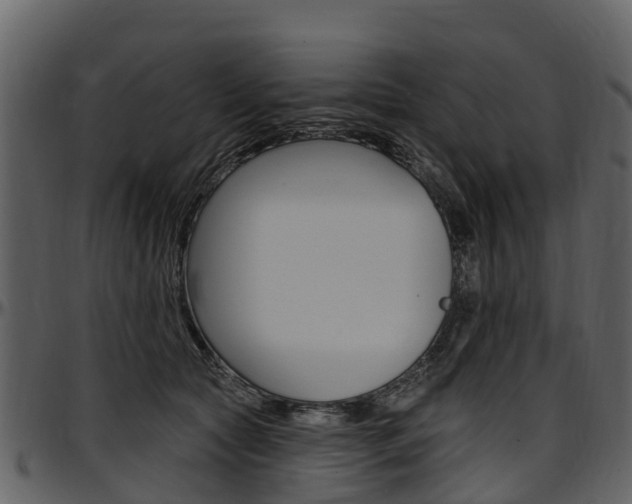 X0000097610561200802290759