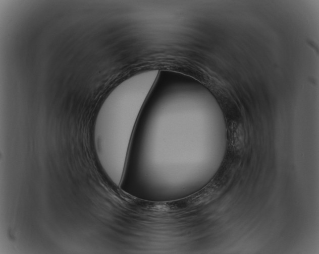 X0000097610562200802290759