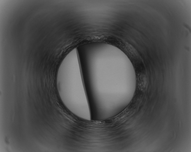 X0000097610563200802290759