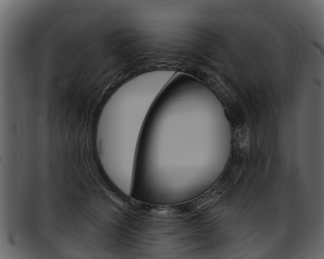 X0000097610564200802290759