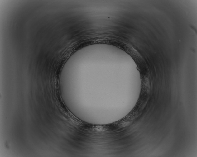 X0000097610565200802290759