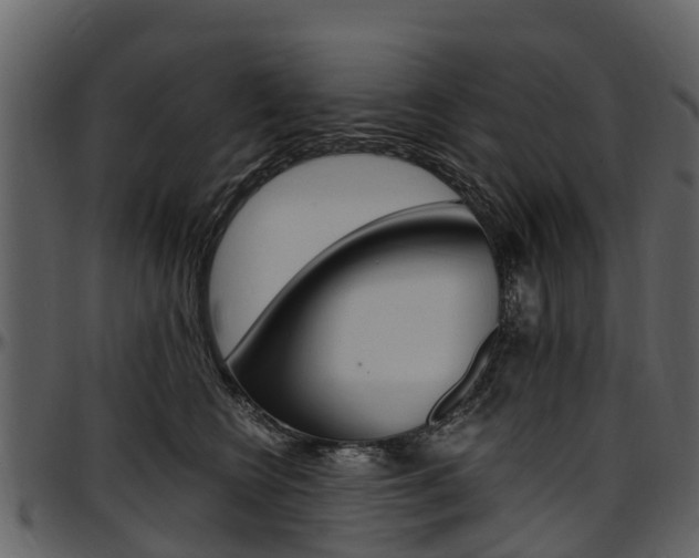 X0000097610566200802290759