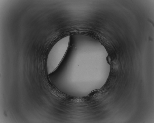 X0000097610567200802290759