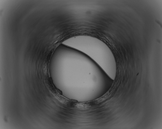 X0000097610568200802290759