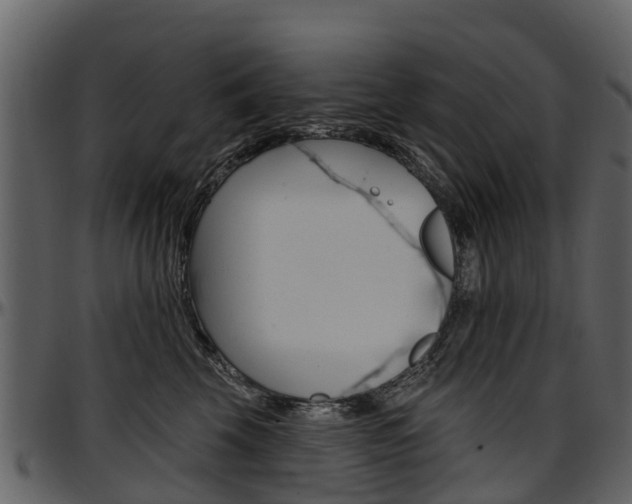 X0000097610569200802290759