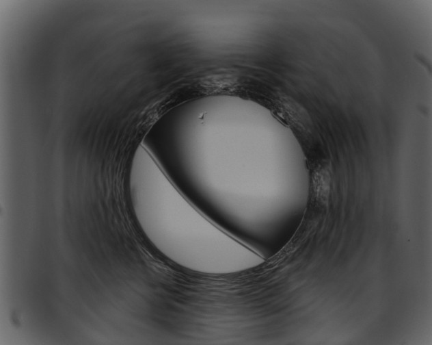 X0000097610570200802290759