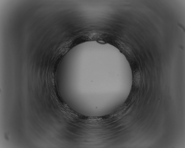 X0000097610571200802290759