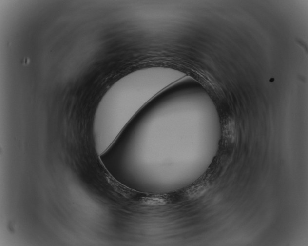 X0000097610572200802290759