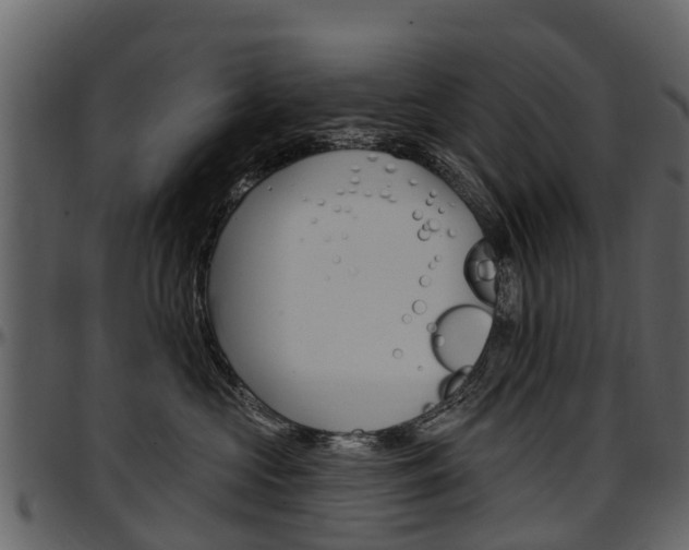 X0000097610573200802290759