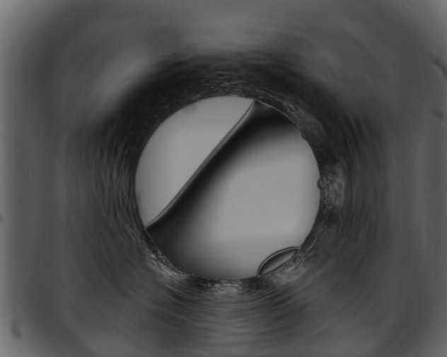 X0000097610574200802290759