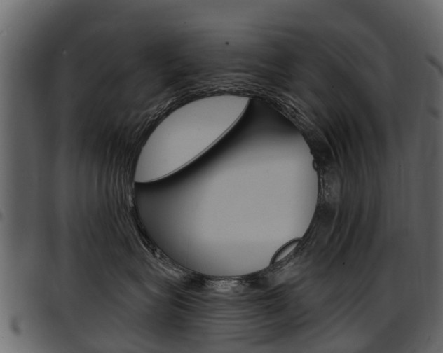 X0000097610575200802290759