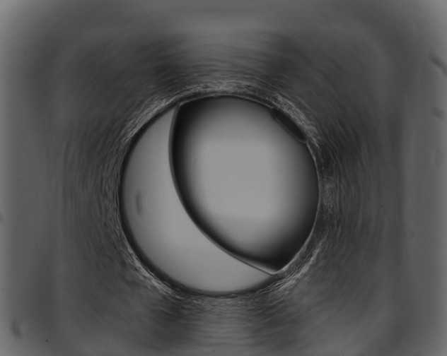 X0000097610577200802290758