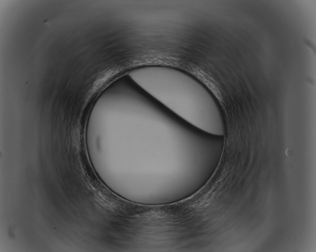 X0000097610578200802290758