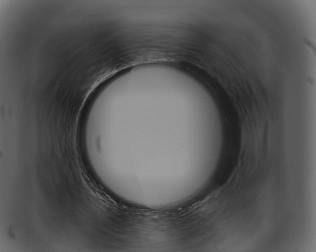 X0000097610579200802290758