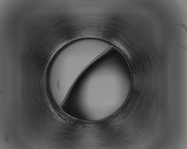 X0000097610580200802290758