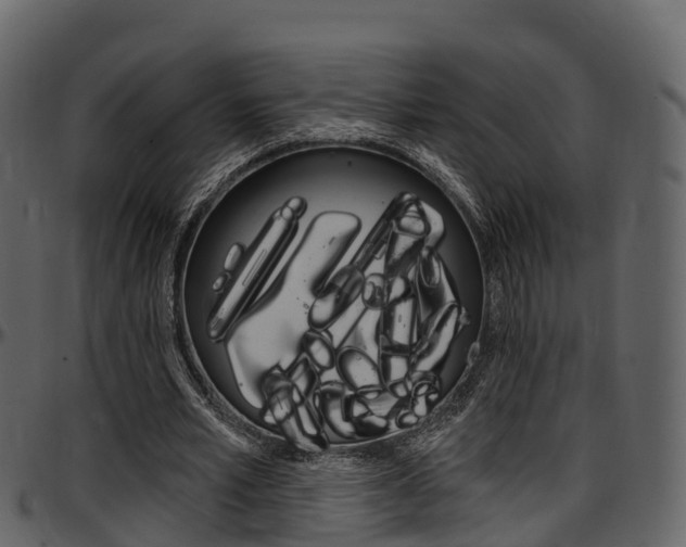 X0000097610581200802290758
