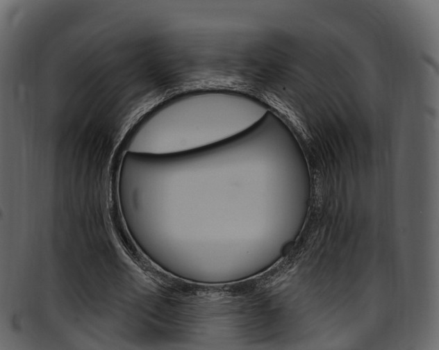 X0000097610582200802290758