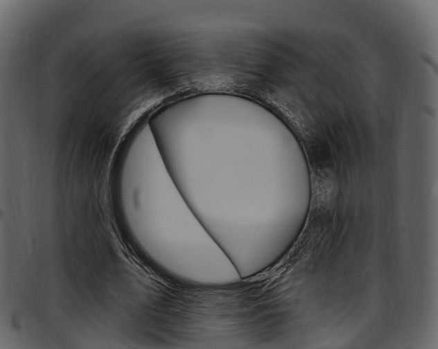 X0000097610583200802290758
