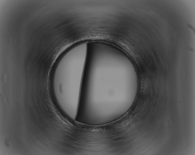 X0000097610584200802290758