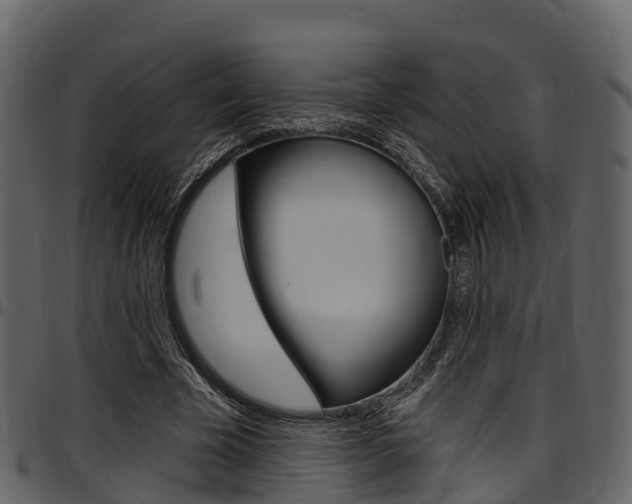 X0000097610585200802290758