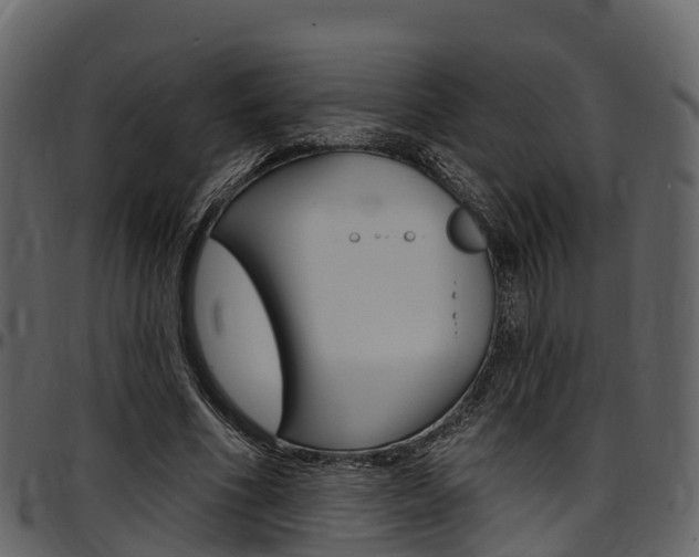 X0000097610586200802290758