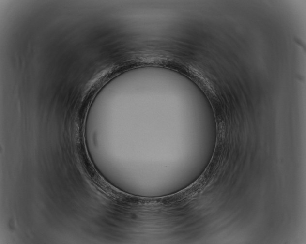 X0000097610587200802290758