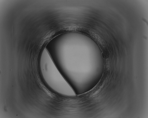 X0000097610589200802290758